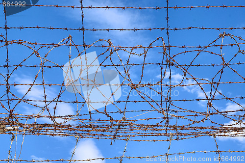 Image of barbed wire blue sky