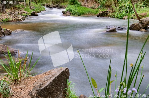 Image of river or stream nature landscape