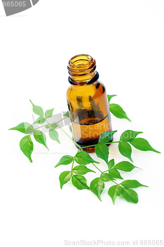 Image of aromatherapy oil