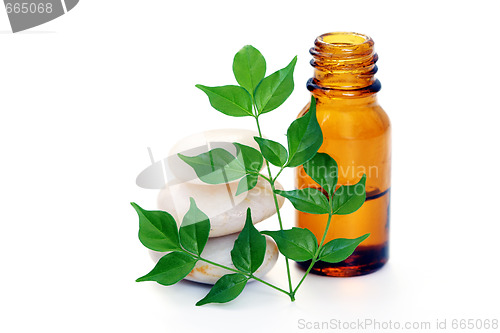 Image of aromatherapy oil