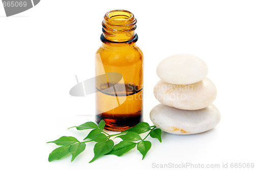 Image of aromatherapy oil