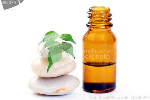 Image of aromatherapy oil