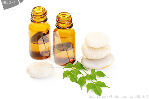 Image of aromatherapy oil