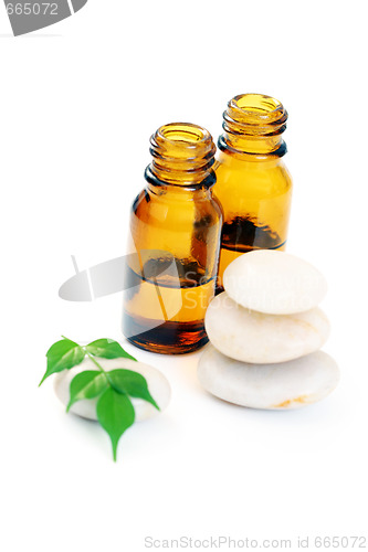 Image of aromatherapy oil