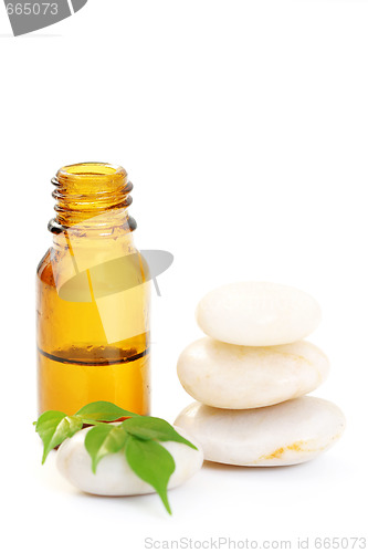 Image of aromatherapy oil