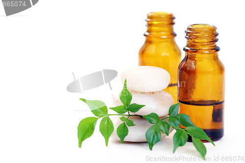 Image of aromatherapy oil