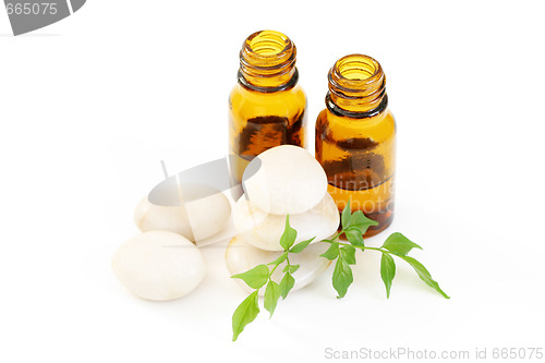 Image of aromatherapy oil