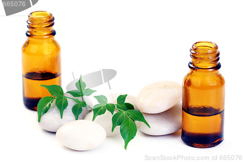 Image of aromatherapy oil