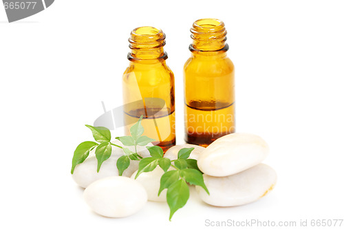 Image of aromatherapy oil