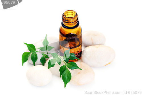 Image of aromatherapy oil