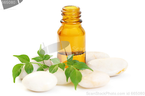 Image of aromatherapy oil