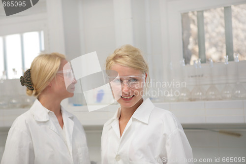 Image of Students in the chemistry laboratory