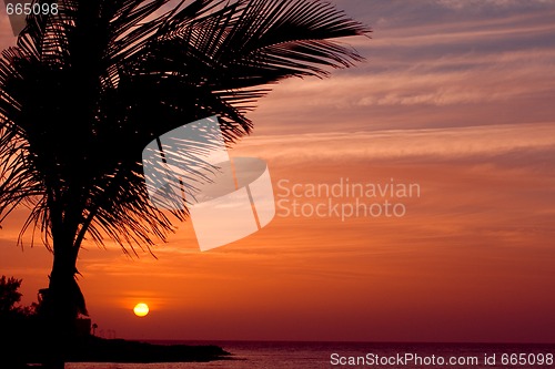 Image of  orange sunset on tropical island with palm