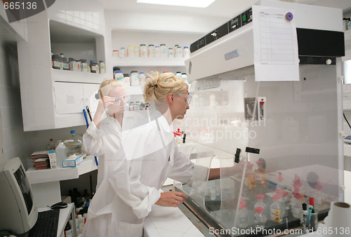 Image of Students working  chemistry laboratory