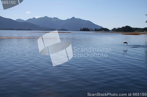 Image of Alaska Landscape with Salmon Jumping