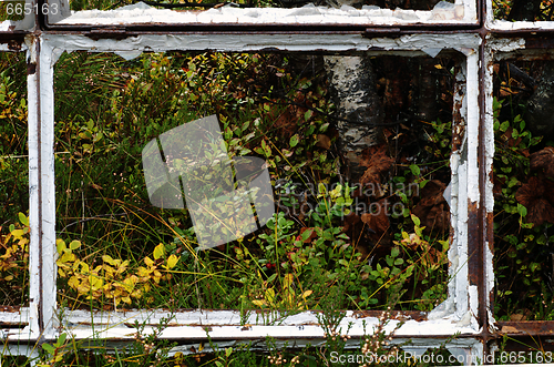 Image of Window to nature.