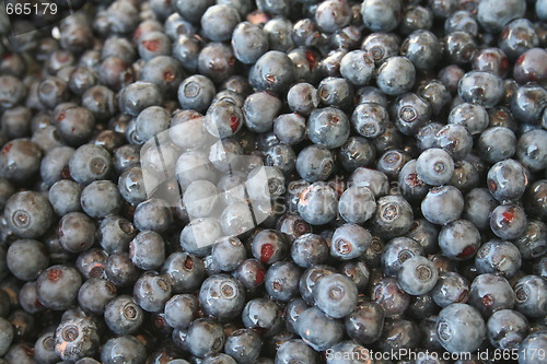 Image of Wild Alaska Blueberries