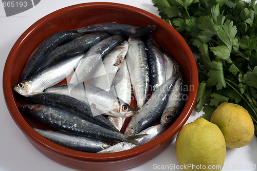 Image of sardines with tomato and bread horizontal