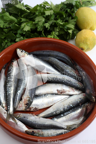 Image of sardines bread and tomato vertical