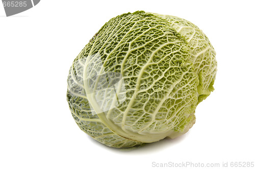 Image of Head of savoy cabbage