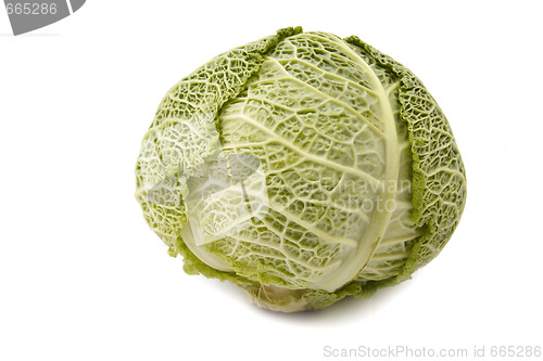 Image of Head of savoy cabbage