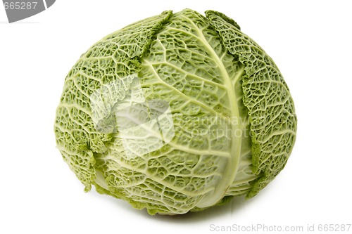 Image of Head of savoy cabbage