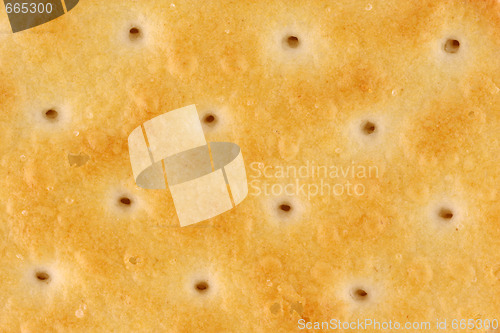 Image of Cracker Texture