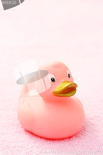 Image of rubber duck