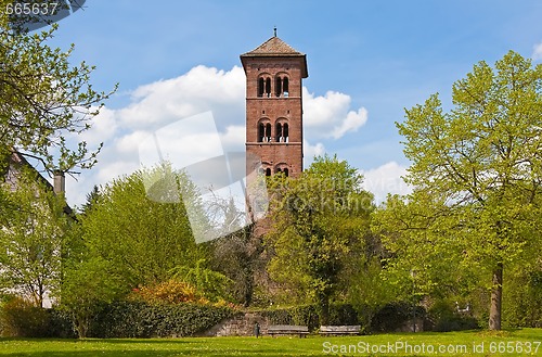 Image of Park in Summer