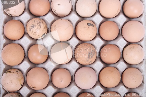 Image of eggs background