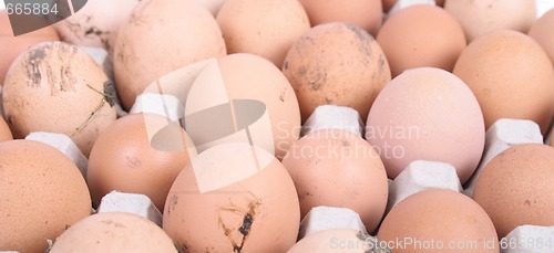 Image of eggs background