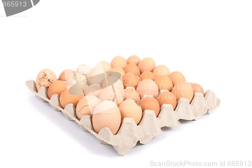 Image of eggs 