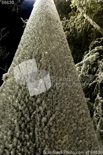 Image of FROZEN: light pole