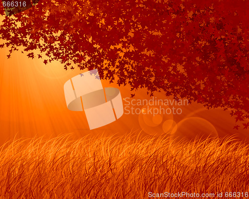 Image of Abstract forest orange background