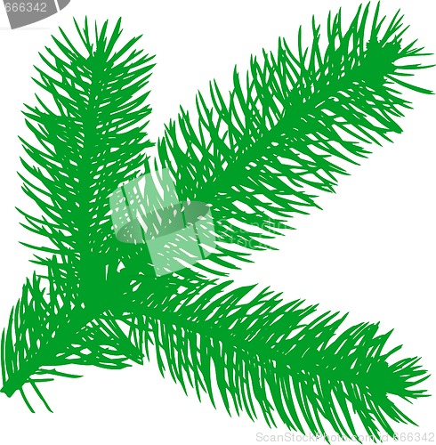 Image of Firtree green element 