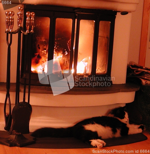 Image of Cat with fireplace