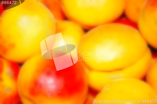 Image of apricot