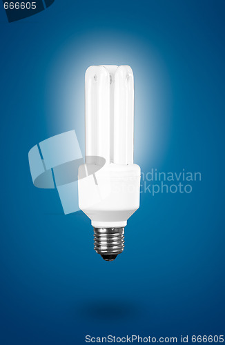 Image of Fluorescent Light Bulb