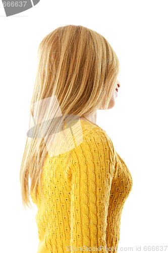 Image of Beautiful Hair