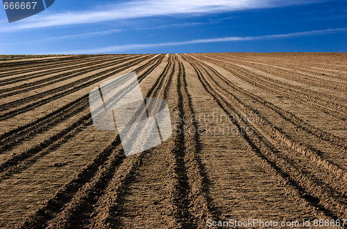 Image of Ploughed field