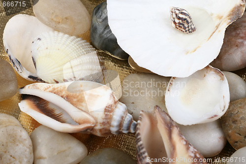 Image of Rock background.