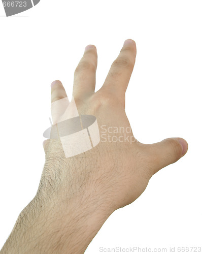 Image of Man hand.