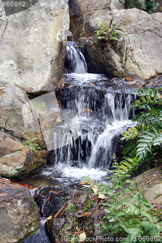 Image of Natural Spring