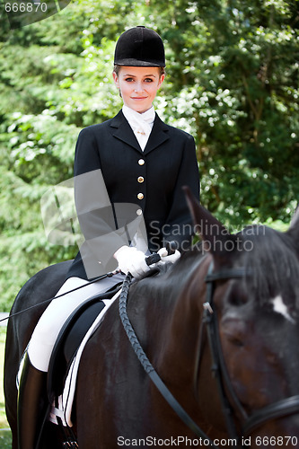 Image of Horseback riding