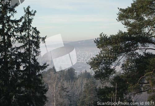 Image of View between trees