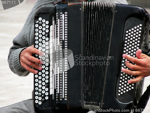 Image of Accordion player