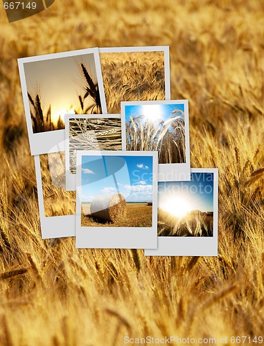 Image of Pile of polaroids over a wheat background