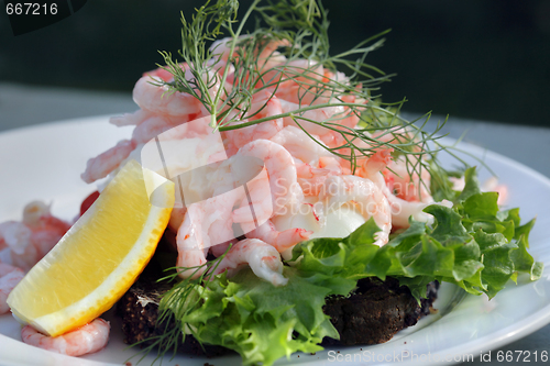 Image of Shrimp salad sandwich