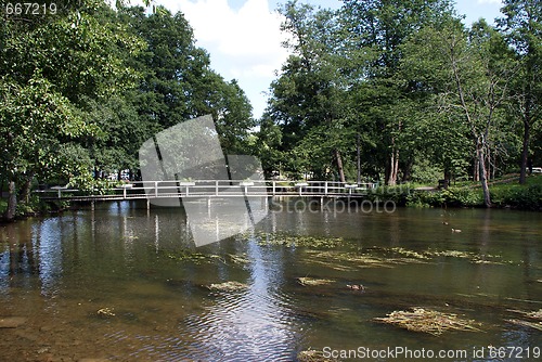 Image of Bridge in Park