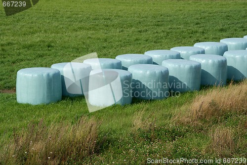 Image of Silage Bales